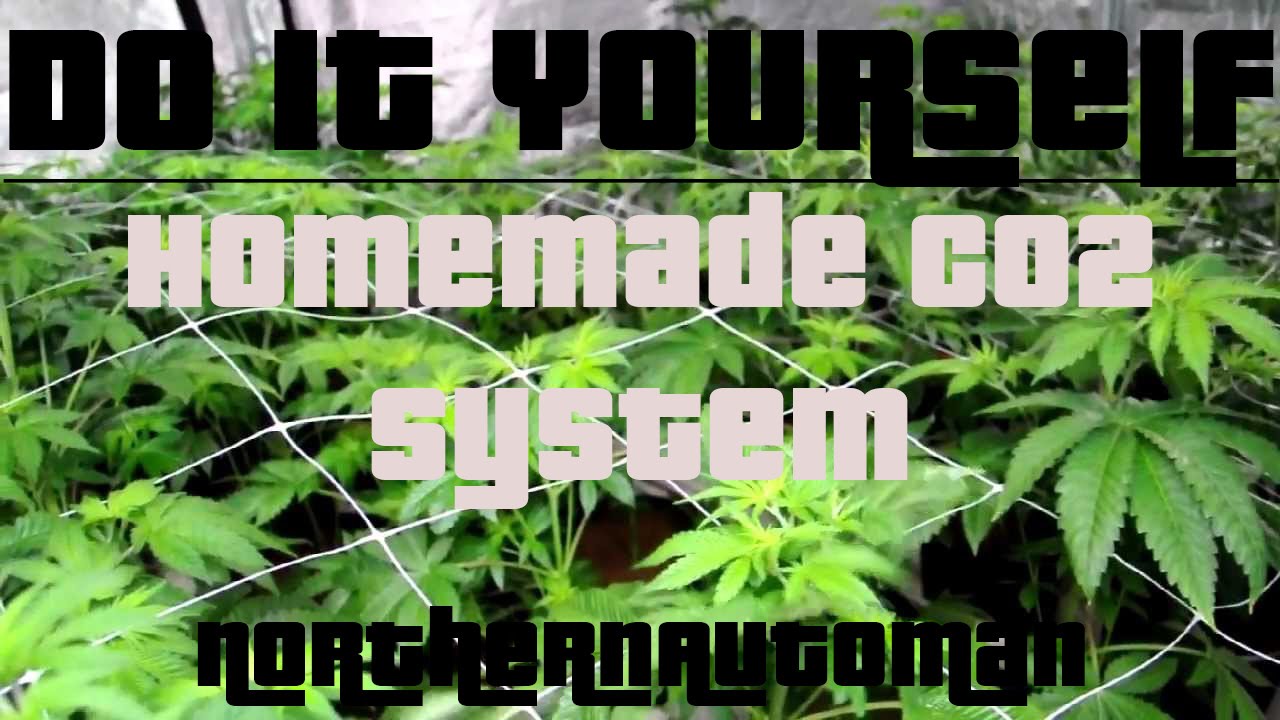 DIY - Homemade CO2 System for Indoor Marijuana Plants  -  EASY
