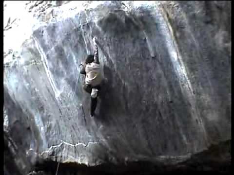 Lamiche sends the fly 5 14d