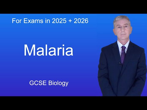 GCSE Biology Revision "Malaria"