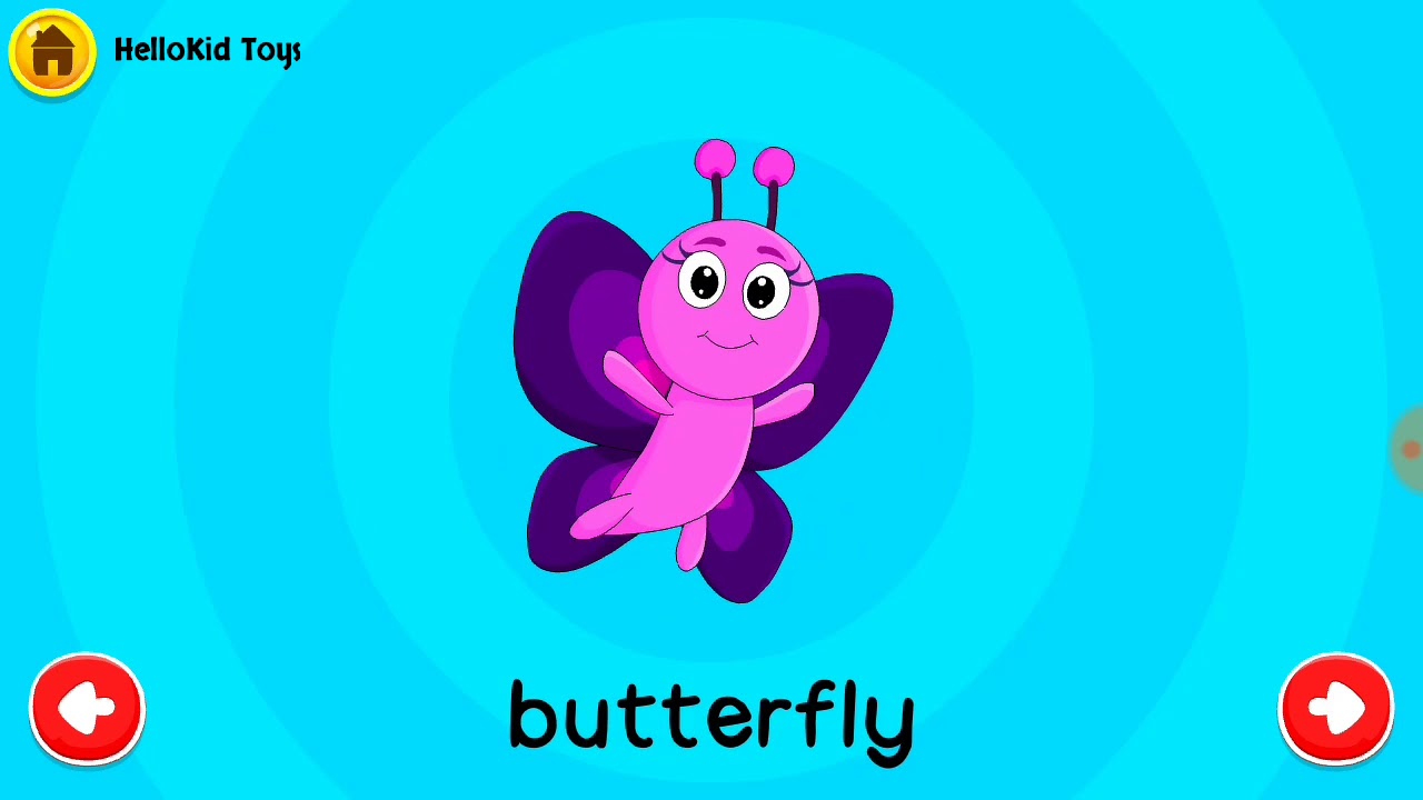 Talking Flashcards : Insect | Learning Stimulation for Kids Babies | English Vocabulary