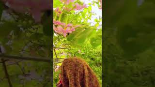 Download lagu Aankhon Mein Base Ho Tum Lyrical - Takkar | Sunil Shetty, Sonali Bendre | Abhijeet, Alka Yagnik mp3