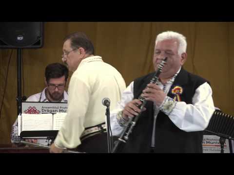 Festivalul Taragotului 2013 - Dorel Spărios