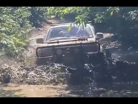 Big Levels 4x4 Trail Virginia with Lux the little beast