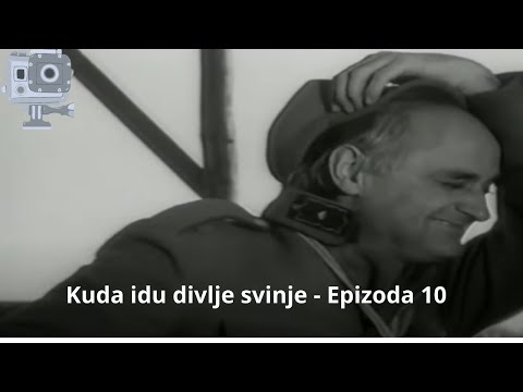 Kuda idu divlje svinje   Epizoda 10