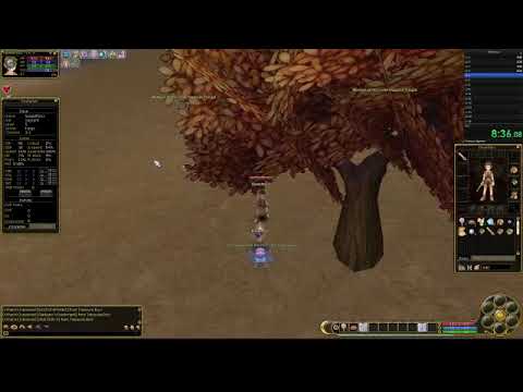 SpeedRun Flyff official server (US) lv 1 to lv 20 solo without exp boost