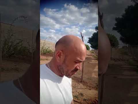 absurdo. poder público de aurora Ceará k d vocês?.