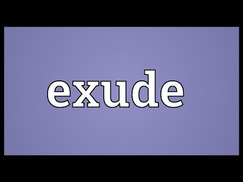 Exude Meaning