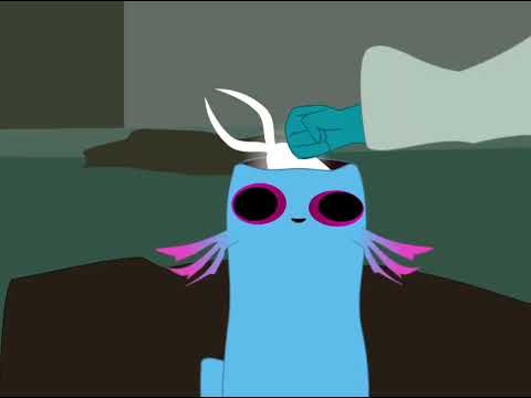 Rivulet is gifted its first braincell - Rain World animation