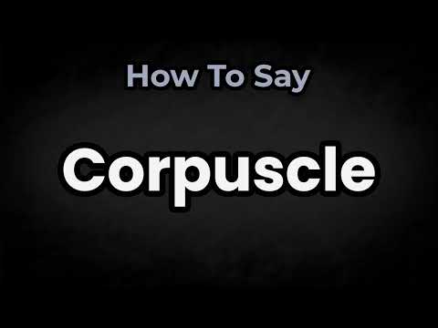 How To Pronounce Corpuscle? (CORRECTLY) Meaning & Pronunciation
