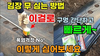 김장무 심는 방법 이걸로 비닐에 구멍 만들어 무씨뿌려요 여기에 심으면 폭염에도 걱정 없다 #김장무심는시기