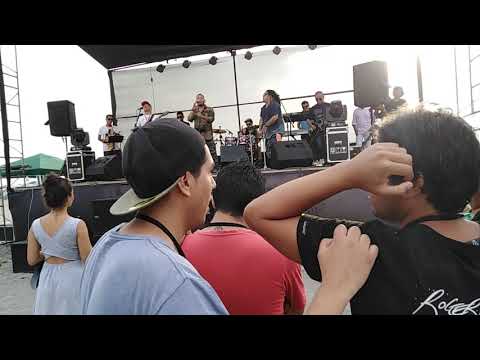 Semillas reggae #Mullufest2019