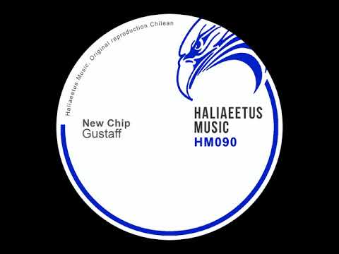 Gustaff: New Chip (Original Mix)