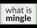 Mingle | meaning of Mingle