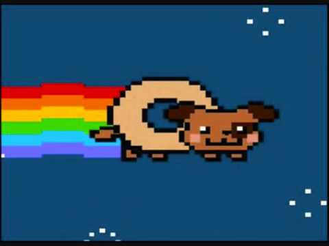 Nyan Cat, Lego, Nyan dog, Bardo, Real Life