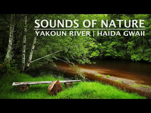 Sounds of Nature | Yakoun River - Haida Gwaii