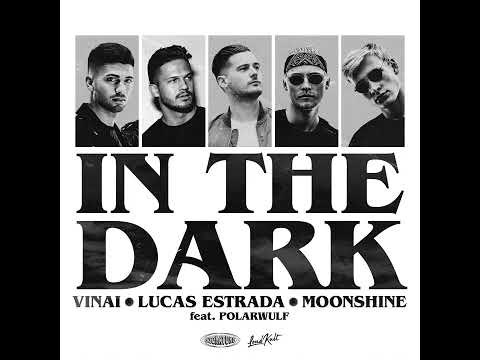 VINAI, Lucas Estrada & Moonshine feat. Polarwulf - In The Dark [Audio]