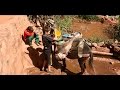 Berbères des cimes teaser