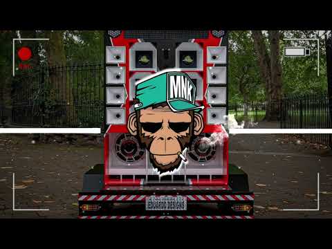 EU QUE SABOTEI O COPO DESSA PIRANHA - FORROZINHO (PROD.DJ KAUÃ MIX)