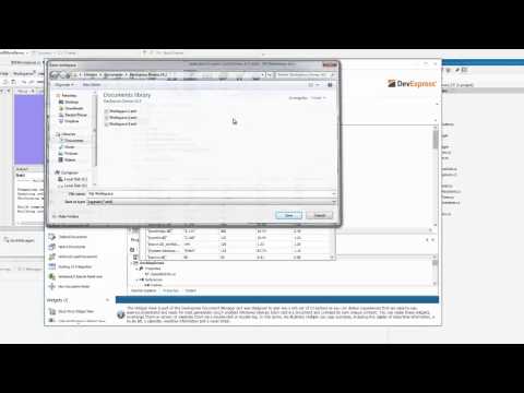 Phần mềm DevExpress WinForms 25.2.6