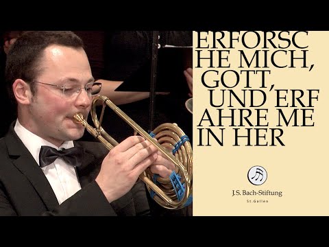 J.S. Bach - Kantate BWV 136 "Erforsche mich, Gott, und erfahre mein Herz" (J. S. Bachstiftung)