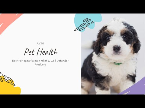 Rik Deitsch: Pet Health