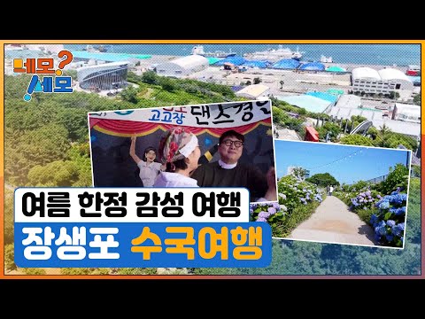[네모세모] 울산 – 장생포 수국여행