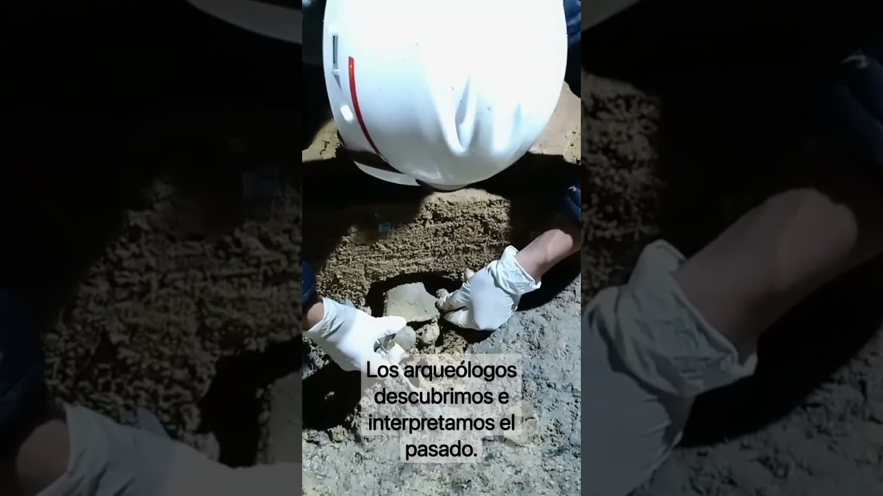 Excavación arqueológica