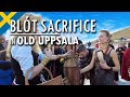 Spring Blot Sacrifice Norse Paganism In Sweden