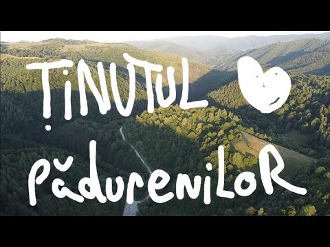 Ținutul Pădurenilor, drumul spre Vadu Dobrii, în munți