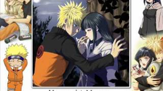 mi flor de piel porta