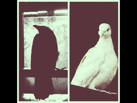 Colter Wall - Kate McCannon & Brittany Avery - My Name Is Kate McCannon