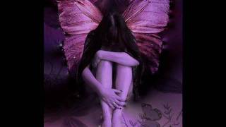 Efecto Mariposa Por Quererte