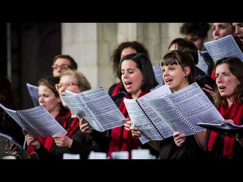 Magnificat (Ch. Schonherr) - Magnificat