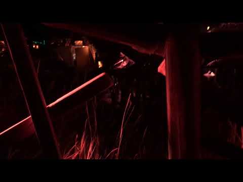 Freqs of Nature 2018 - Groove Floor