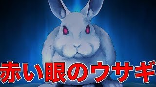 公園で拾ったウサギが起こす悲劇の物語…