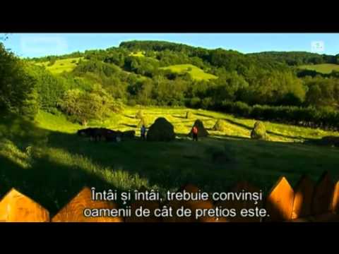 Cazare Salina Praid - Cazat.ro