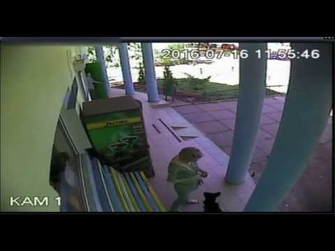 Девушка подбросила собаку в ветеринарную клинику!