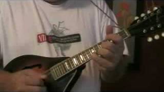 Cat Clumb Up The Plum Tree or Rochester Schottisch