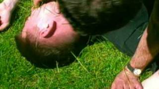 Shelter - Don&#39;t Walk Away Presented By Tee Till Death