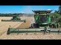 Wheat Harvest + 2,700 Straw Bales! Summer Harvesting Action on Farm