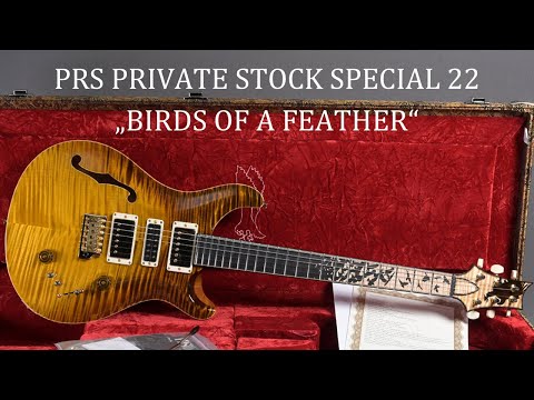 Fender PS#10409 Special 22 Semi Hollow "Birds of a Feather" Yellow Tiger image 20