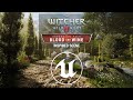 [UE5] Toussaint - The Witcher 3 Blood and Wine - Inspired Scene