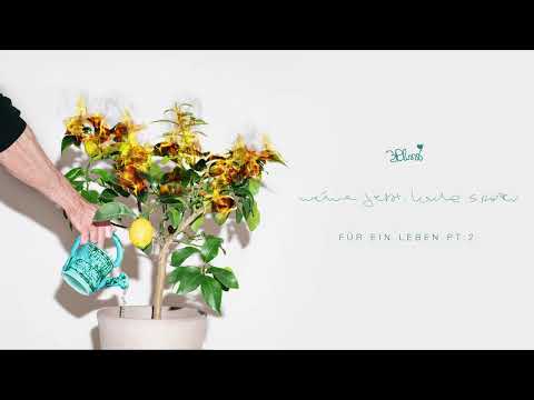 3Plusss - FÜR EIN LEBEN PT.II (prod. von Peet) [Official Audio]