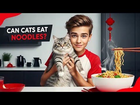 can cats eat noodles