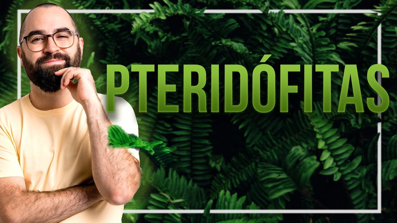 Pteridófitas - Aula 03 - Módulo 5: Botânica