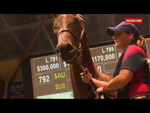 2018 Magic Millions Gold Coast Yearling Sale - Book 1 wrap - Post Day 4