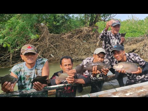 EP291: PART2-ISDANG ALISO NAHULI NAMIN SA PAG PANDAW NG GANGO