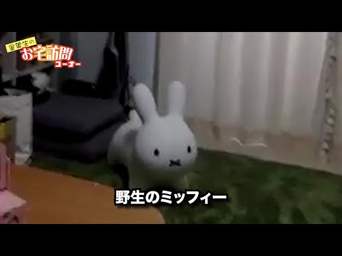 視覚デザイン：お宅訪問 ①