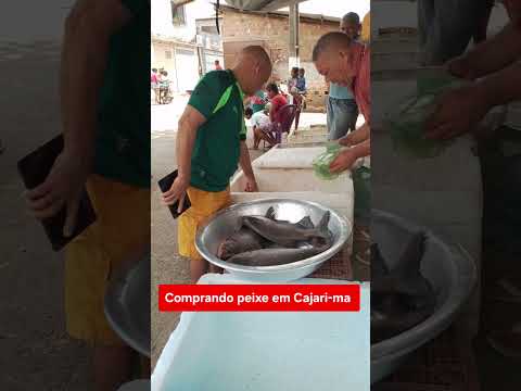 Comprando peixe em Cajari-ma. #peixes