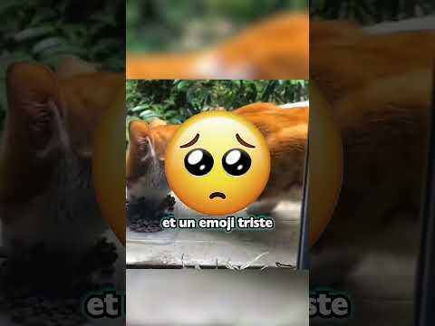 Ne place surtout pas ton pied là dedans !😭